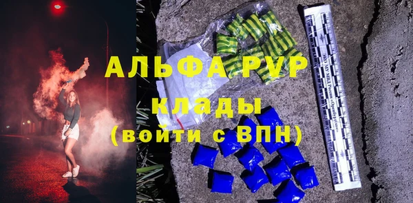 гашик Алексин