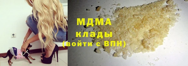 гашик Алексин