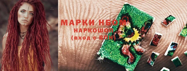 гашик Алексин
