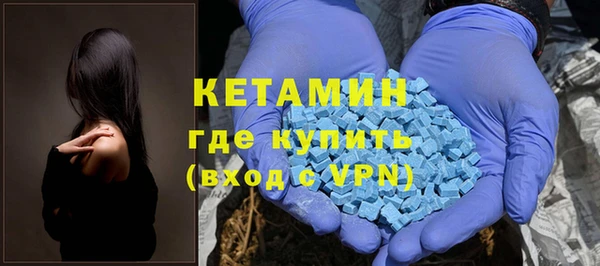 гашик Алексин